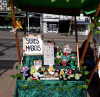 proyectos