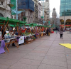 proyectos