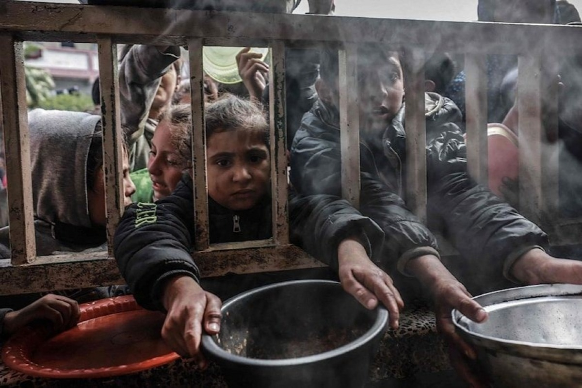 gaza